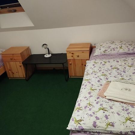 Ubytovani U Nadii Zelezny Brod Extérieur photo