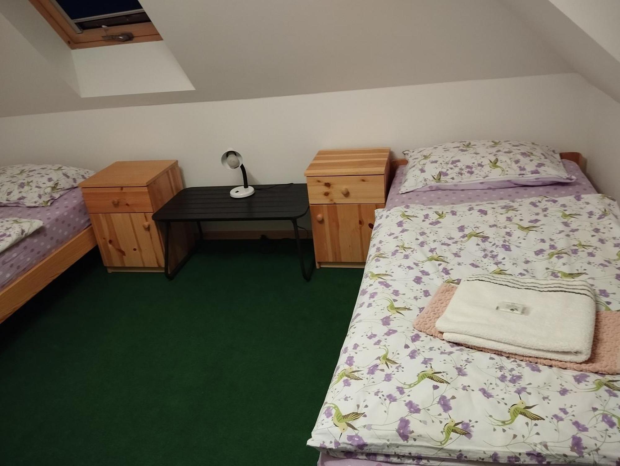 Ubytovani U Nadii Zelezny Brod Extérieur photo